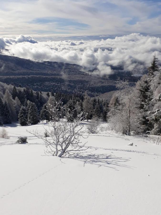 Bed and Breakfast Da C I S A Tambre dʼAlpago Exterior foto