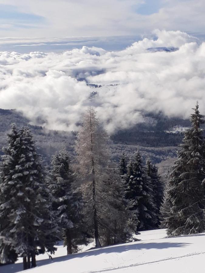 Bed and Breakfast Da C I S A Tambre dʼAlpago Exterior foto